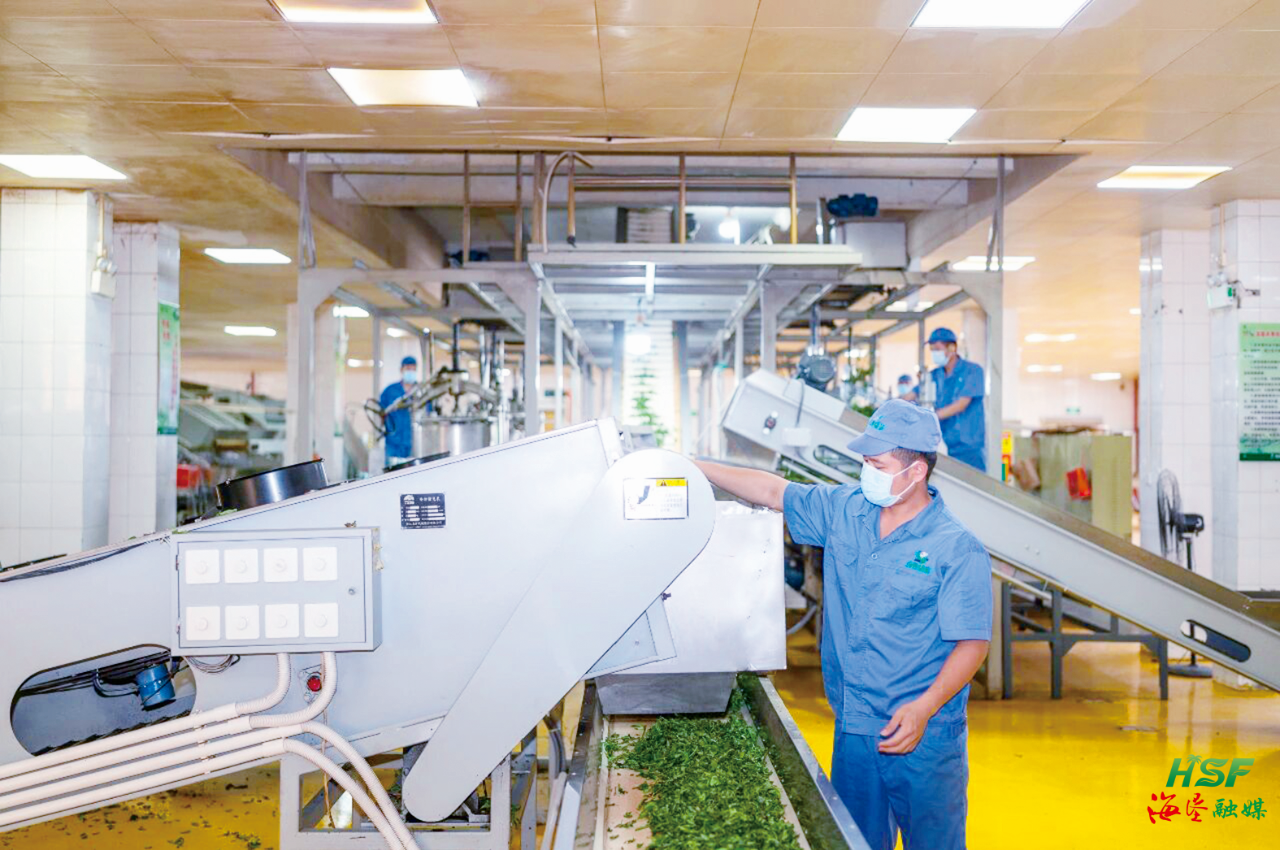 海垦集团：跑出马年&ldquo;开门红&rdquo;