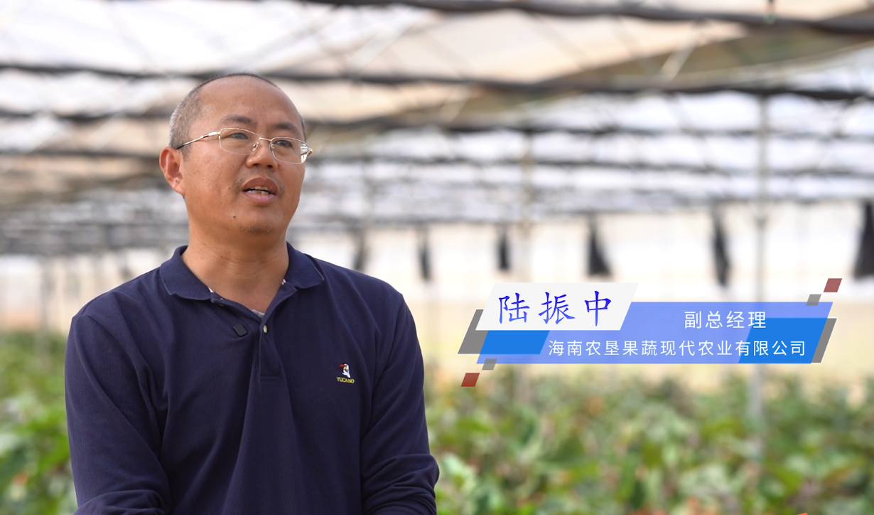 新春走基层 职工新年心愿&mdash;&mdash;陆振中2026新年愿望：基地蔬菜越种越多 品质越来越好