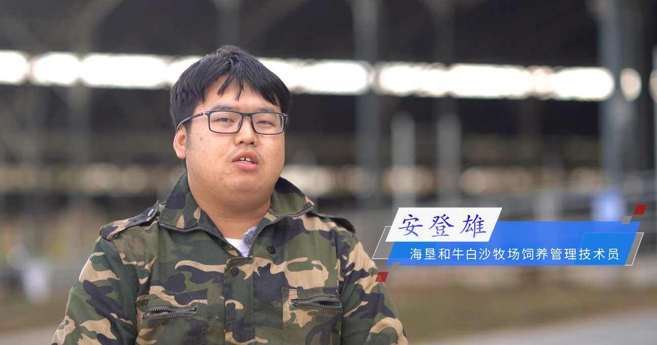 新春走基层 职工新年心愿&mdash;&mdash;安登雄2026新年心愿： 自己像牛一样 越来越牛