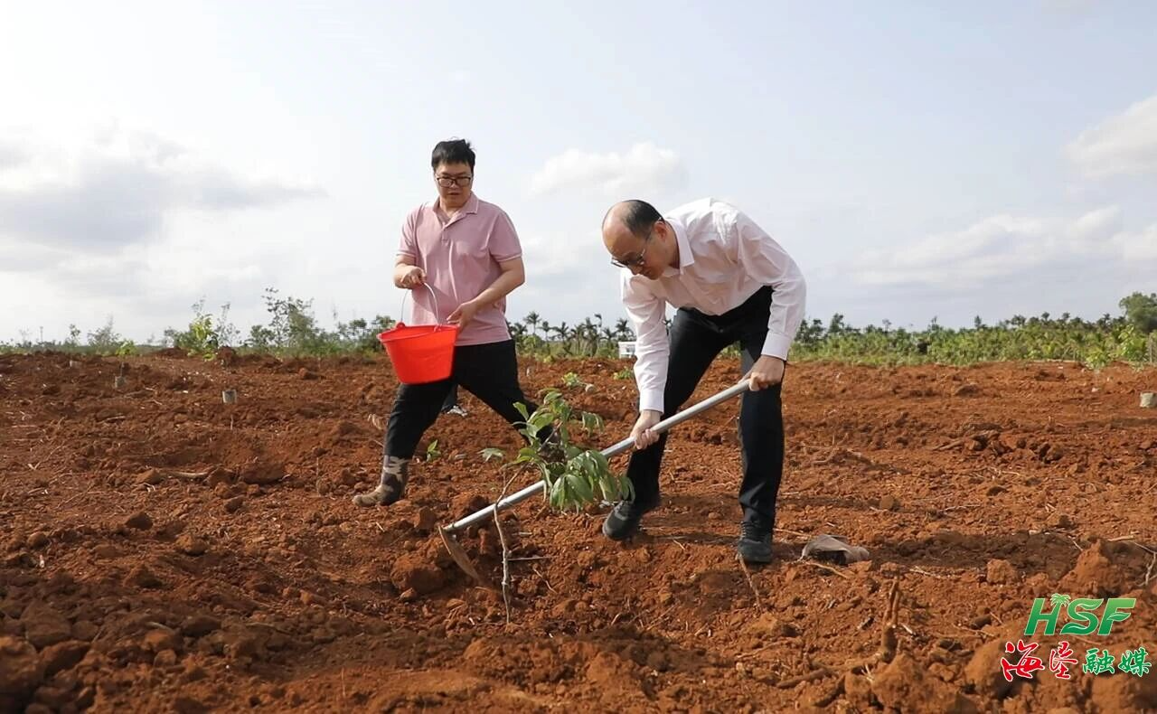 海垦集团开展党建联建义务植树活动