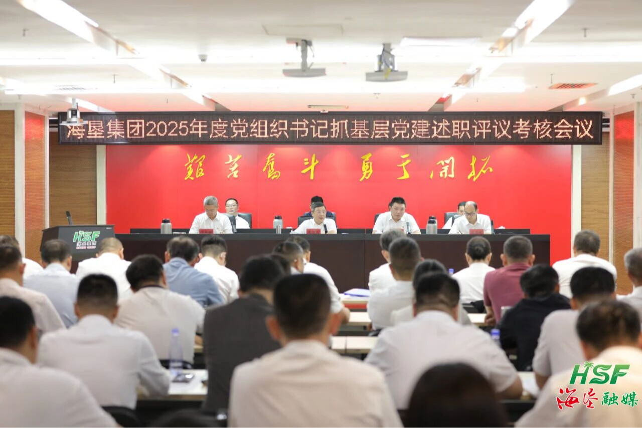 海垦集团召开2025年度党组织书记抓基层党建述职评议考核会议