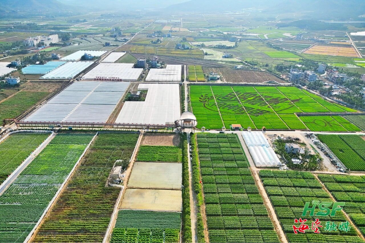 稻田画里看种业&ldquo;芯&rdquo;图景