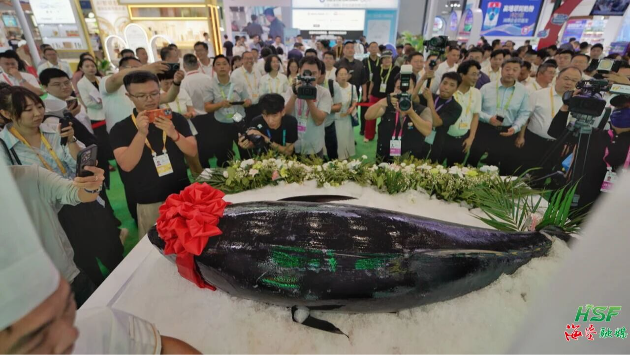 消博会海垦馆开馆：IP形象首发、多项合作签约、金枪鱼&ldquo;开鱼秀&rdquo;精彩上演