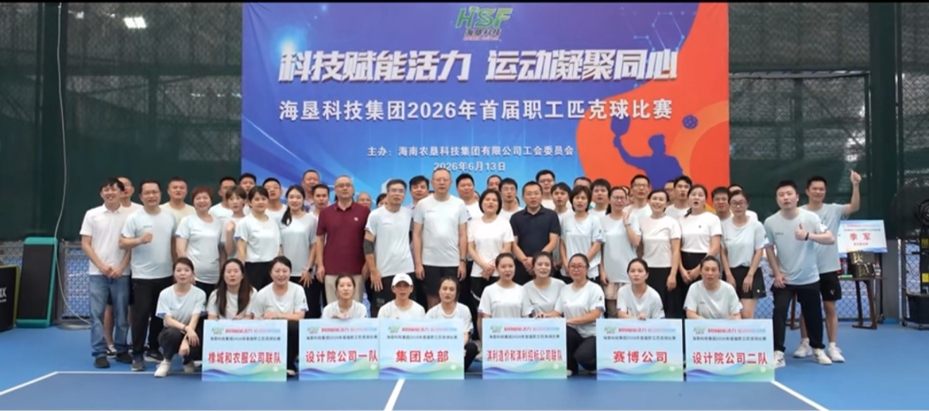 海垦科技集团首届职工匹克球比赛圆满收官