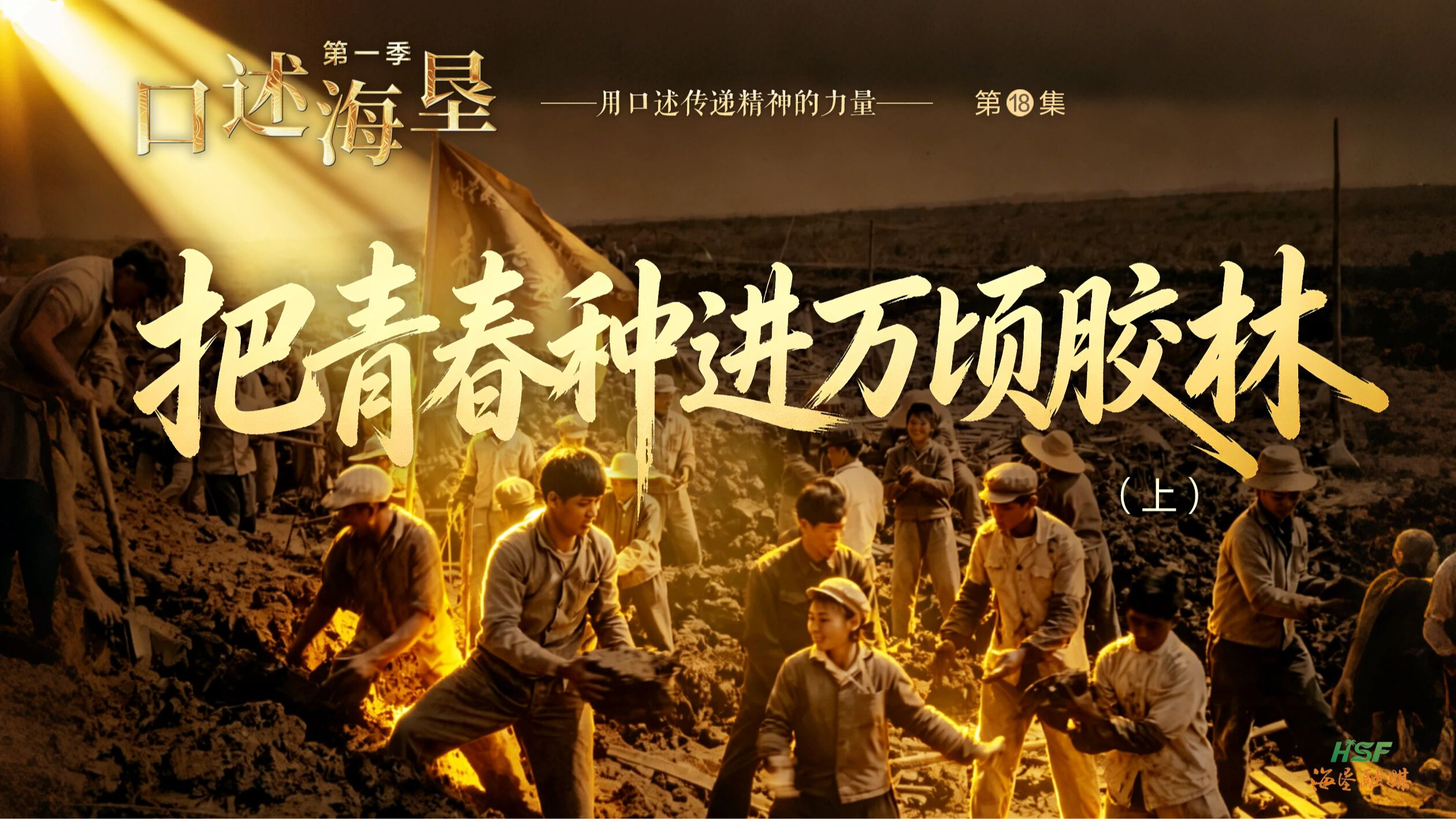 口述海垦｜把青春种进万顷胶林