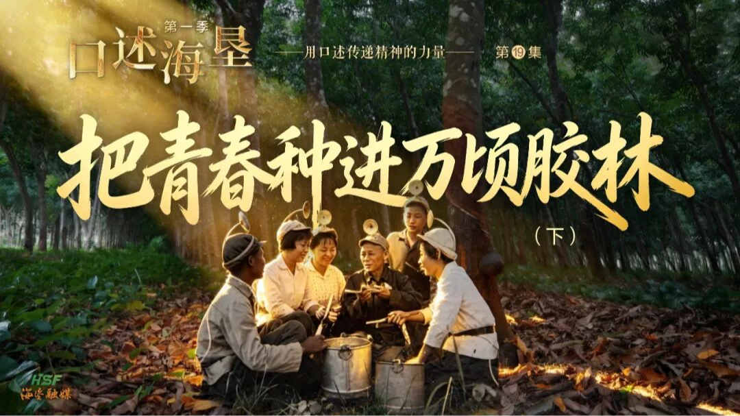 口述海垦｜把青春种进万顷胶林（下）